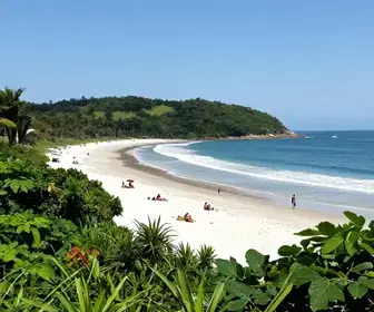 Descubra Manguinhos: Um Refúgio Da Natureza em Vitória – ES Descubra Manguinhos: Um Refúgio Da Natureza em Vitória - ES