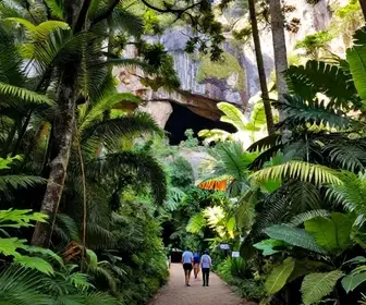 Descubra o Encanto do Parque Gruta da Onça em Vitória - ES