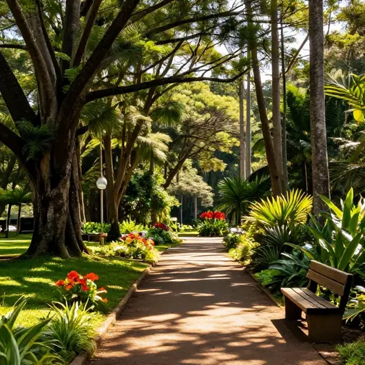 Descubra o Parque Botânico Vale Vitória
