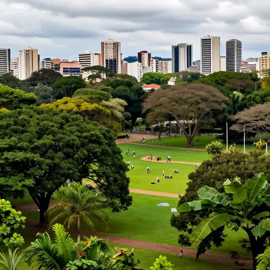 Descubra o Parque da Fonte Grande Descubra o Parque da Fonte Grande