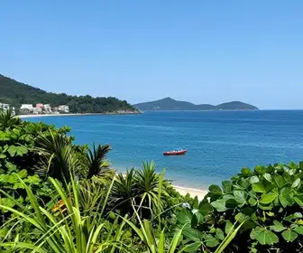 Descubra Onde Iniciam os Passeios de Baleia em Vitória
