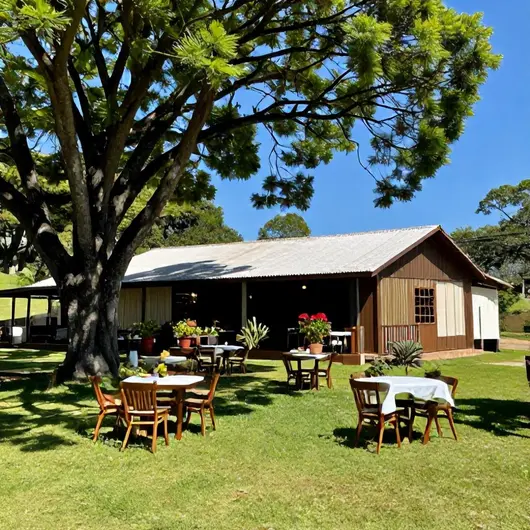 Descubra Soeta