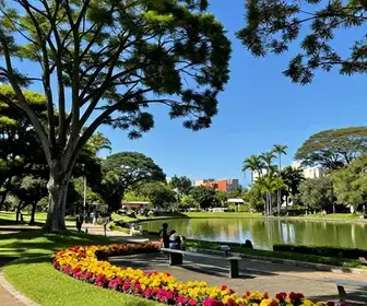 Explorando as Áreas Verdes de Vitória: Parques e Trilhas Imperdíveis