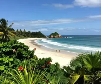 Explorando as Praias da Ilha do Frade em Vitória - ES