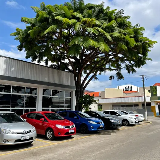 Explore o Melhor da Mobilidade com ES RENTACAR