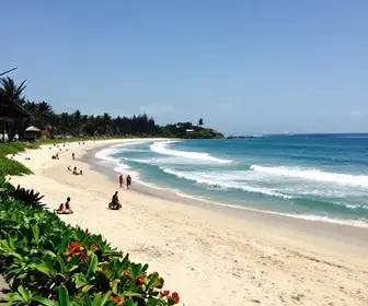 Guia Completo sobre a Balneabilidade das Praias de Vitória