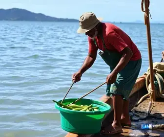 saúde dos pescadores